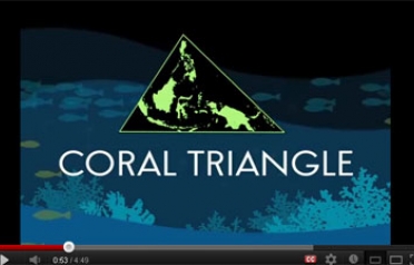 Why should we invest in the Coral Triangle?