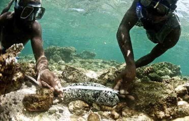 Underwater survey