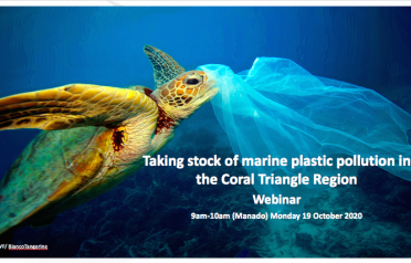 Plastic Stocktake Report