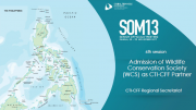 SOM 13 - Session 06 - WCS as new CTI Partner