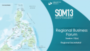 SOM 13 - Session 10 - Cross-cutting Themes Report Presentations RBF &amp; BAC