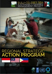 Regional Strategic Action Program