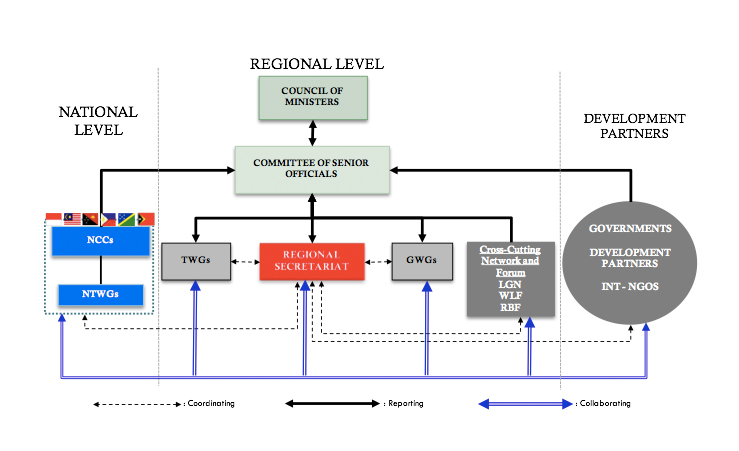 CTI-CFF Structure